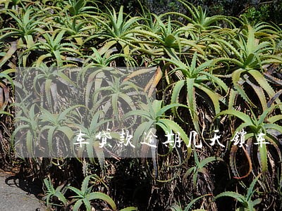 车贷款逾期几天锁车 车贷款逾期几天锁车