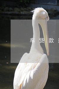 车贷款逾期半个月 车贷款逾期半个月