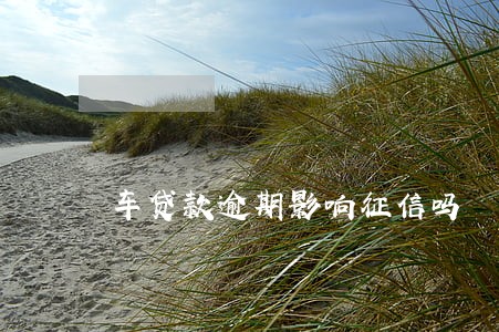 车贷款逾期影响征信吗 车贷款逾期影响征信吗