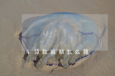 车贷款逾期怎么算 车贷款逾期怎么算