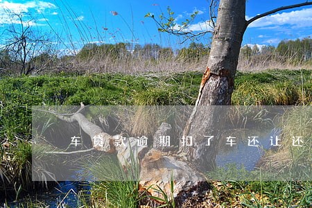 车贷款逾期扣了车还让还钱 车贷款逾期扣了车还让还钱