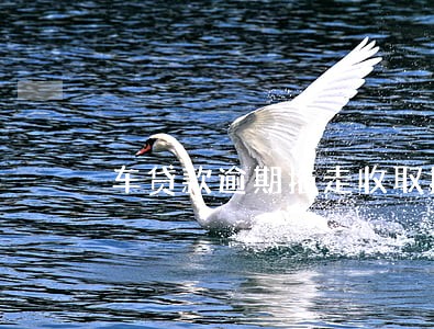 车贷款逾期拖走收取拖车费 车贷款逾期拖走收取拖车费