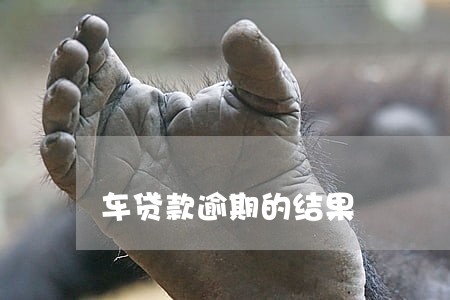 车贷款逾期的结果 车贷款逾期的结果