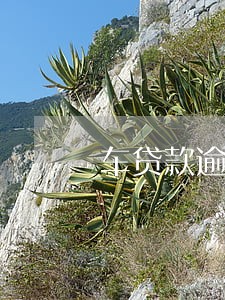 车贷款逾期被开走 车贷款逾期被开走