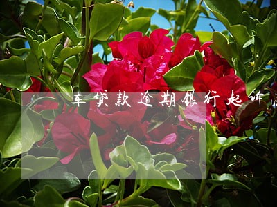车贷款逾期银行起诉法院 车贷款逾期银行起诉法院