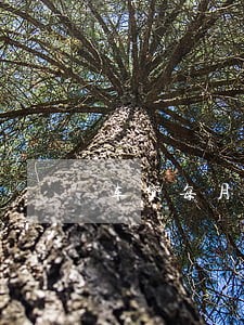 车贷每月3号还款算逾期吗 车贷每月3号还款算逾期吗