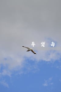 车贷每月都逾期连续6个月 车贷每月都逾期连续6个月