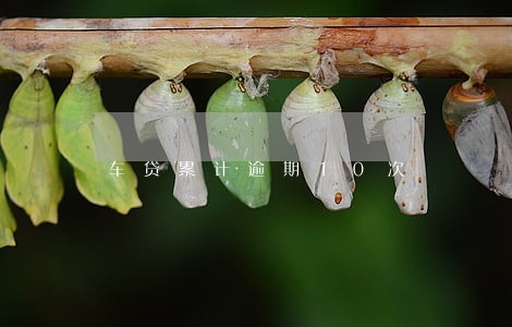 车贷累计逾期10次 车贷累计逾期10次