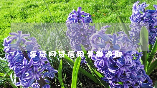 车贷网贷信用卡券逾期 车贷网贷信用卡券逾期