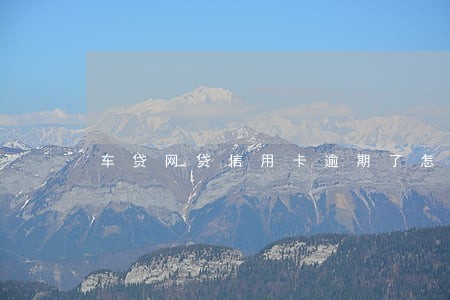 车贷网贷信用卡逾期了怎么办 车贷网贷信用卡逾期了怎么办