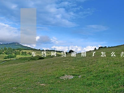 车贷网贷逾期了怎么办