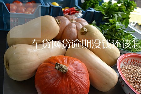 车贷网贷逾期没钱还该怎么办
