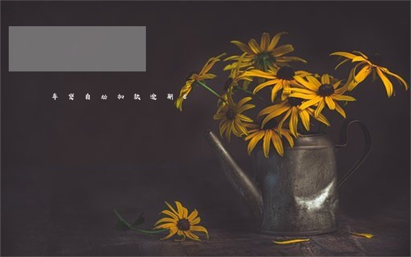 车贷自动扣款逾期6 车贷自动扣款逾期6
