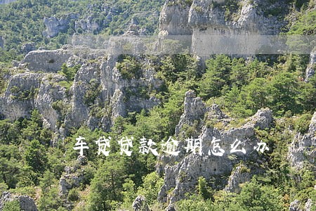 车贷贷款逾期怎么办 车贷贷款逾期怎么办