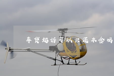 车贷起诉可以只还本金吗 车贷起诉可以只还本金吗