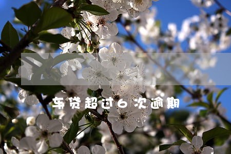 车贷超过6次逾期 车贷超过6次逾期