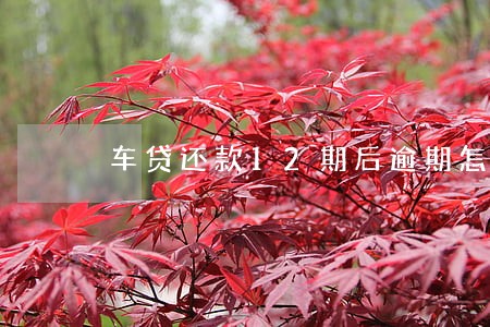 车贷还款12期后逾期怎样处理 车贷还款12期后逾期怎样处理
