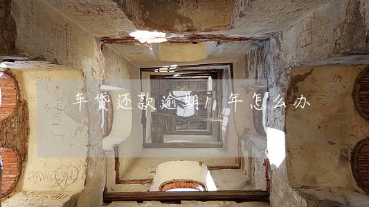 车贷还款逾期1年怎么办