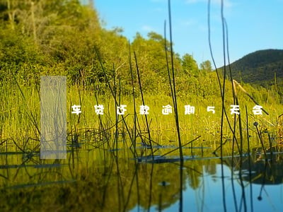 车贷还款逾期5天会