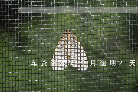 车贷连续2个月逾期2天 车贷连续2个月逾期2天