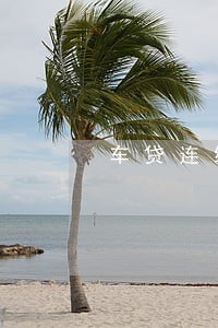 车贷连续逾期3月还款 车贷连续逾期3月还款