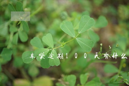 车贷逾期100天有什么影响吗 车贷逾期100天有什么影响吗