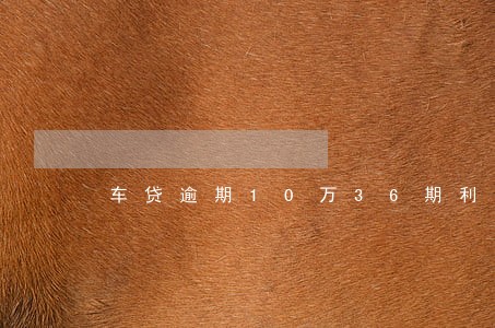 车贷逾期10万36期利息 车贷逾期10万36期利息