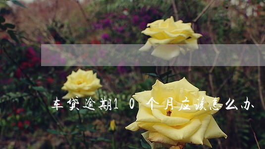 车贷逾期10个月应该怎么办 车贷逾期10个月应该怎么办