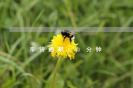 车贷逾期10分钟 车贷逾期10分钟