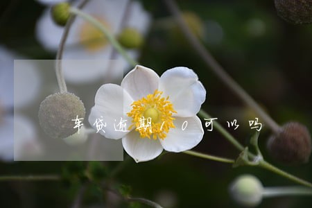 车贷逾期10可以吗 车贷逾期10可以吗