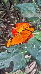 车贷逾期10天上征信吗 车贷逾期10天上征信吗