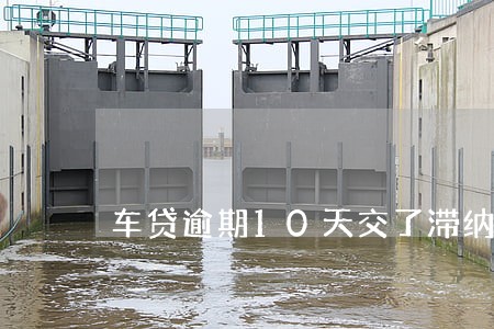 车贷逾期10天交了滞纳金 车贷逾期10天交了滞纳金