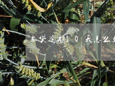 车贷逾期10天怎么处理 车贷逾期10天怎么处理