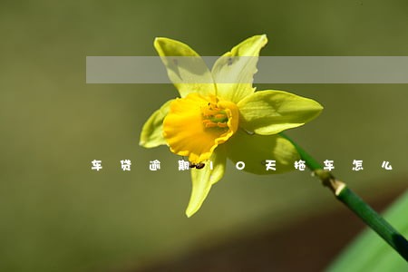 车贷逾期10天拖车怎么办 车贷逾期10天拖车怎么办