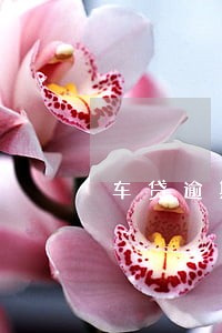 车贷逾期10天有利息么 车贷逾期10天有利息么