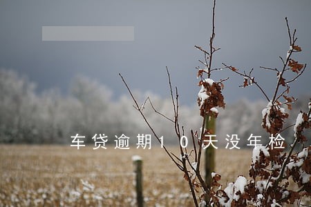 车贷逾期10天没年检 车贷逾期10天没年检