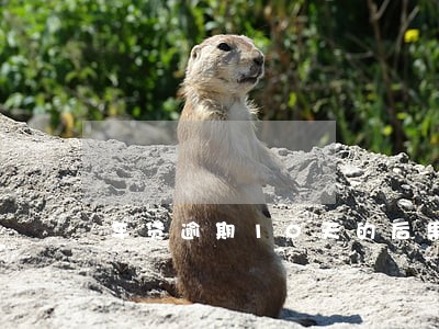 车贷逾期10天的后果是什么 车贷逾期10天的后果是什么