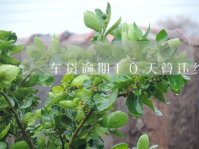 车贷逾期10天算违约金吗 车贷逾期10天算违约金吗