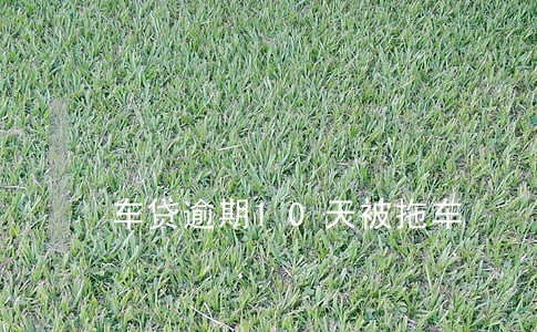 车贷逾期10天被拖车 车贷逾期10天被拖车