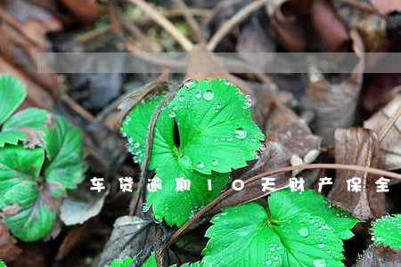 车贷逾期10天财产保全 车贷逾期10天财产保全