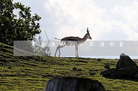 车贷逾期10天违约金 车贷逾期10天违约金