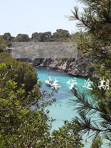 车贷逾期10天黑名单 车贷逾期10天黑名单
