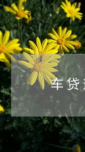 车贷逾期11个月 车贷逾期11个月