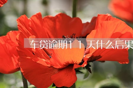 车贷逾期11天什么后果 车贷逾期11天什么后果