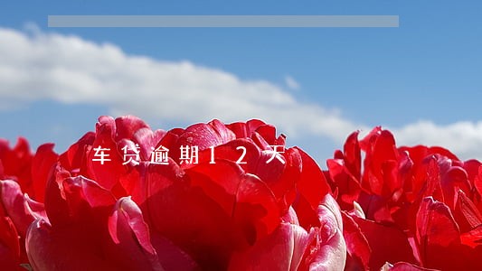 车贷逾期12天 车贷逾期12天