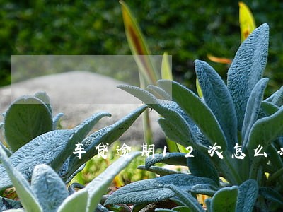 车贷逾期12次怎么办 车贷逾期12次怎么办