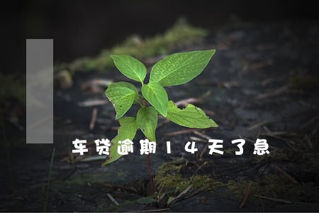 车贷逾期14天了急 车贷逾期14天了急