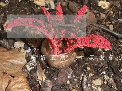车贷逾期14天发多少 车贷逾期14天发多少