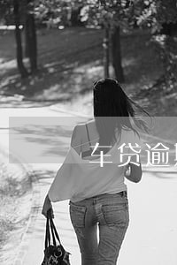 车贷逾期14天对征信