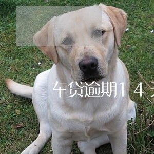 车贷逾期14天收到家访信息 车贷逾期14天收到家访信息